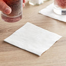 Bulky Soft Napkins/Serviette 2Ply 24x24cm WHITE 100's {32196}