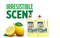 Fairy Professional& Liquid 5 Litre Lemon CONCENTRATED