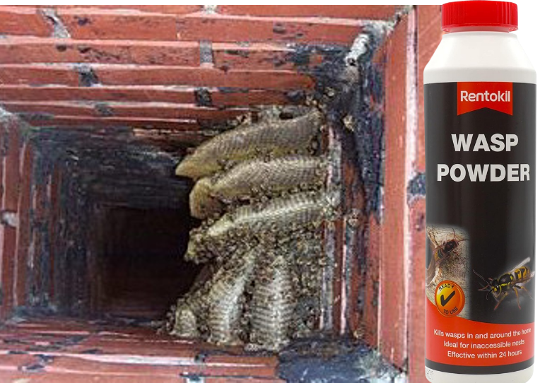 Rentokil Wasp Killer Powder 150g