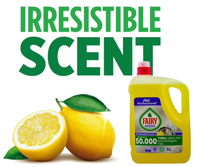 Fairy Professional& Liquid 5 Litre Lemon CONCENTRATED