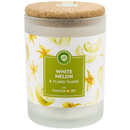 Air Wick Scented Candle, Melon & Ylang Ylang