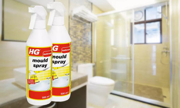 HG Mould Remover Foam Spray 500ml